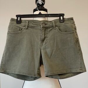 BKE Payton green shorts size 28 summer casual concert